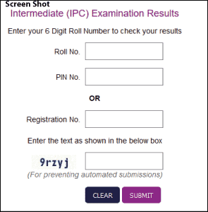 CA IPCC Result Screen Shot